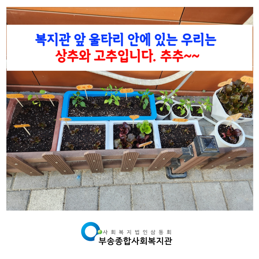 제목을 입력해주세요_복사본-001 (21).jpg